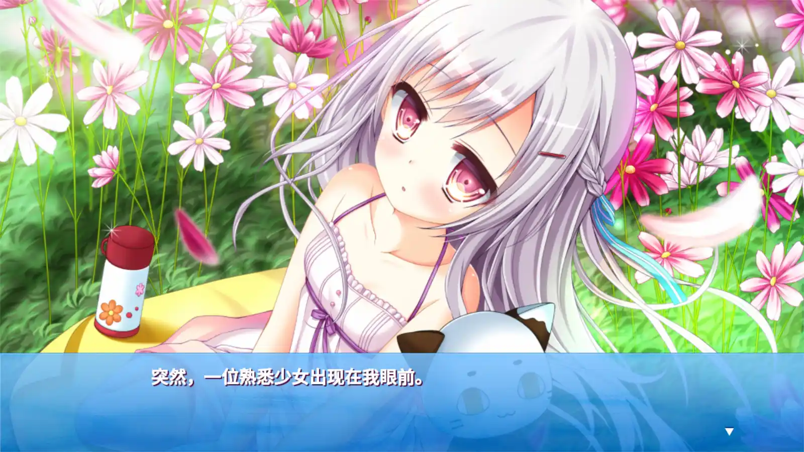 图片[3]-【PC硬盘】与妹妹的记忆-资源避难所