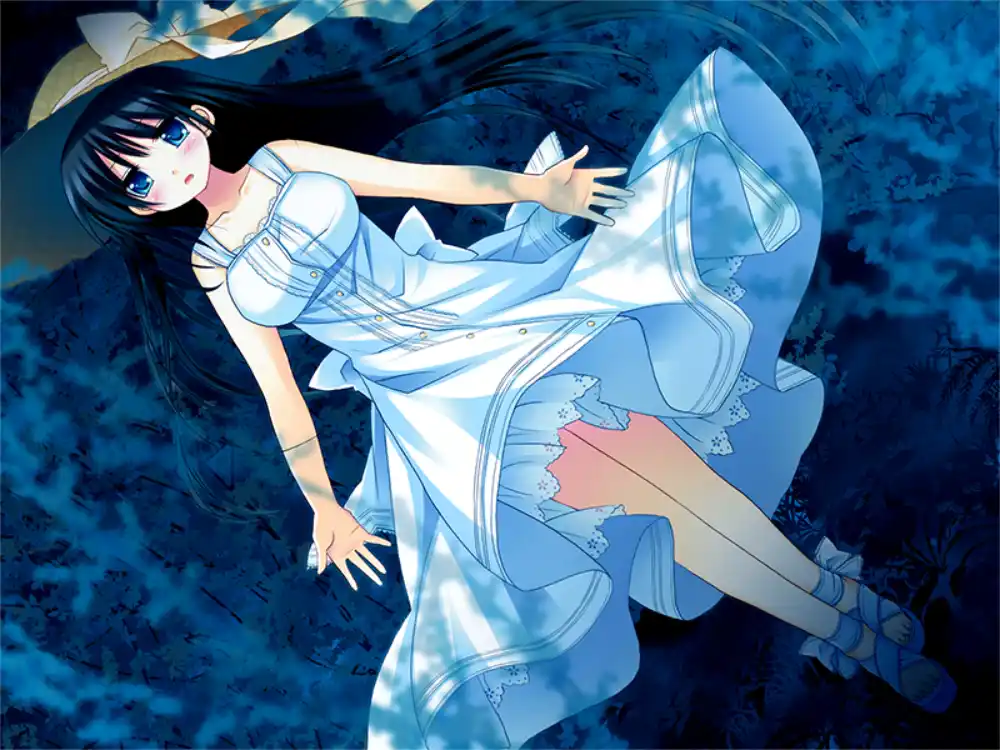 图片[2]-【PC硬盘】夏雪～summer_snow～-资源避难所