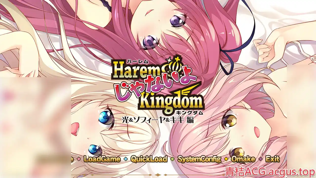 【PC硬盘】HaremKingdom FD 光＆索菲娅＆琪琪 篇／HaremKingdomFD_VOL01／ハーレムじゃないよキングダム 光＆ソフィーヤ＆キキ編-青桔网