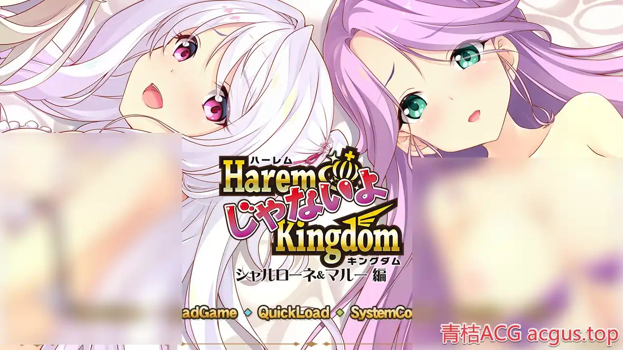 【PC硬盘】HaremKingdom FD 夏洛妮尔＆玛露篇／HaremKingdomFD_VOL02／ハーレムじゃないよキングダム シャルローネ＆マルー編-青桔网
