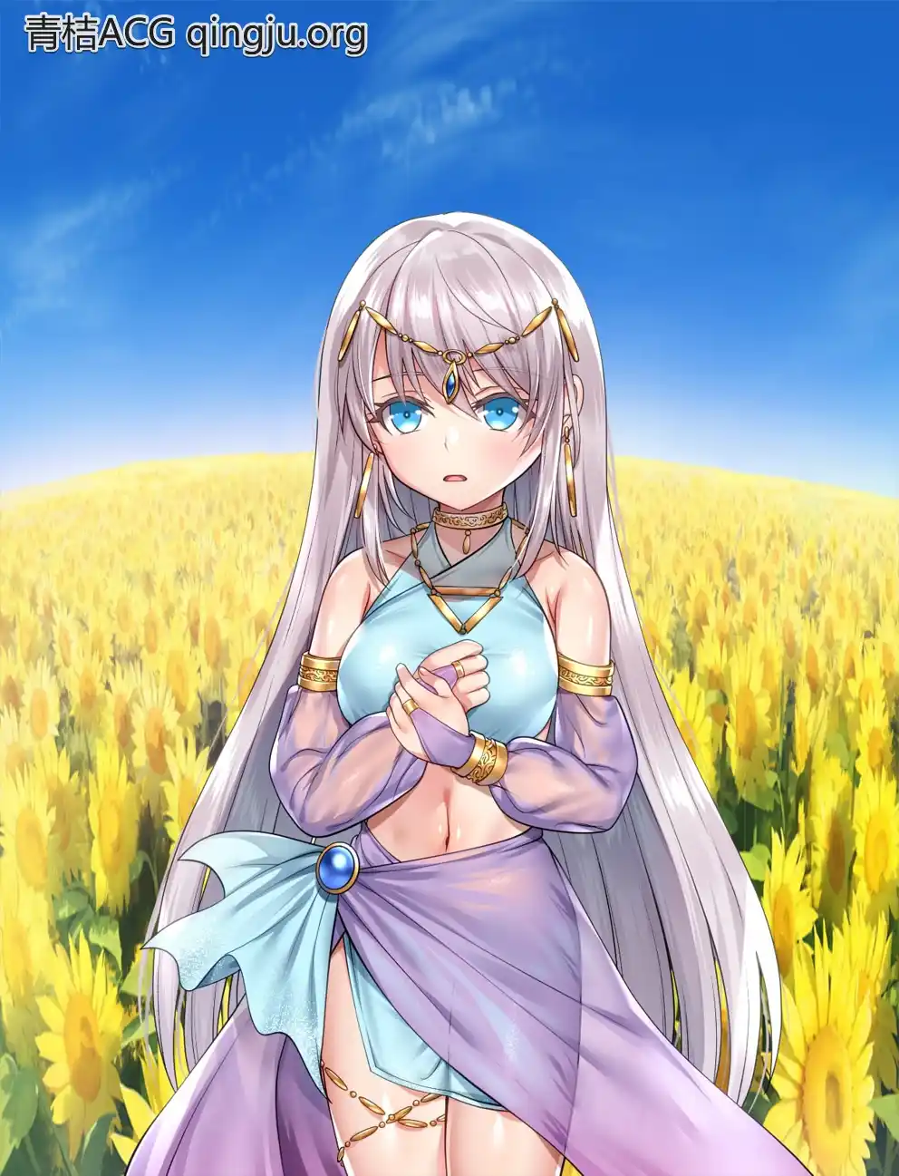 【PC硬盘】【RPG】[JoiPlay]誓死守护您的生命／命に代えてもお守りします!-青桔网