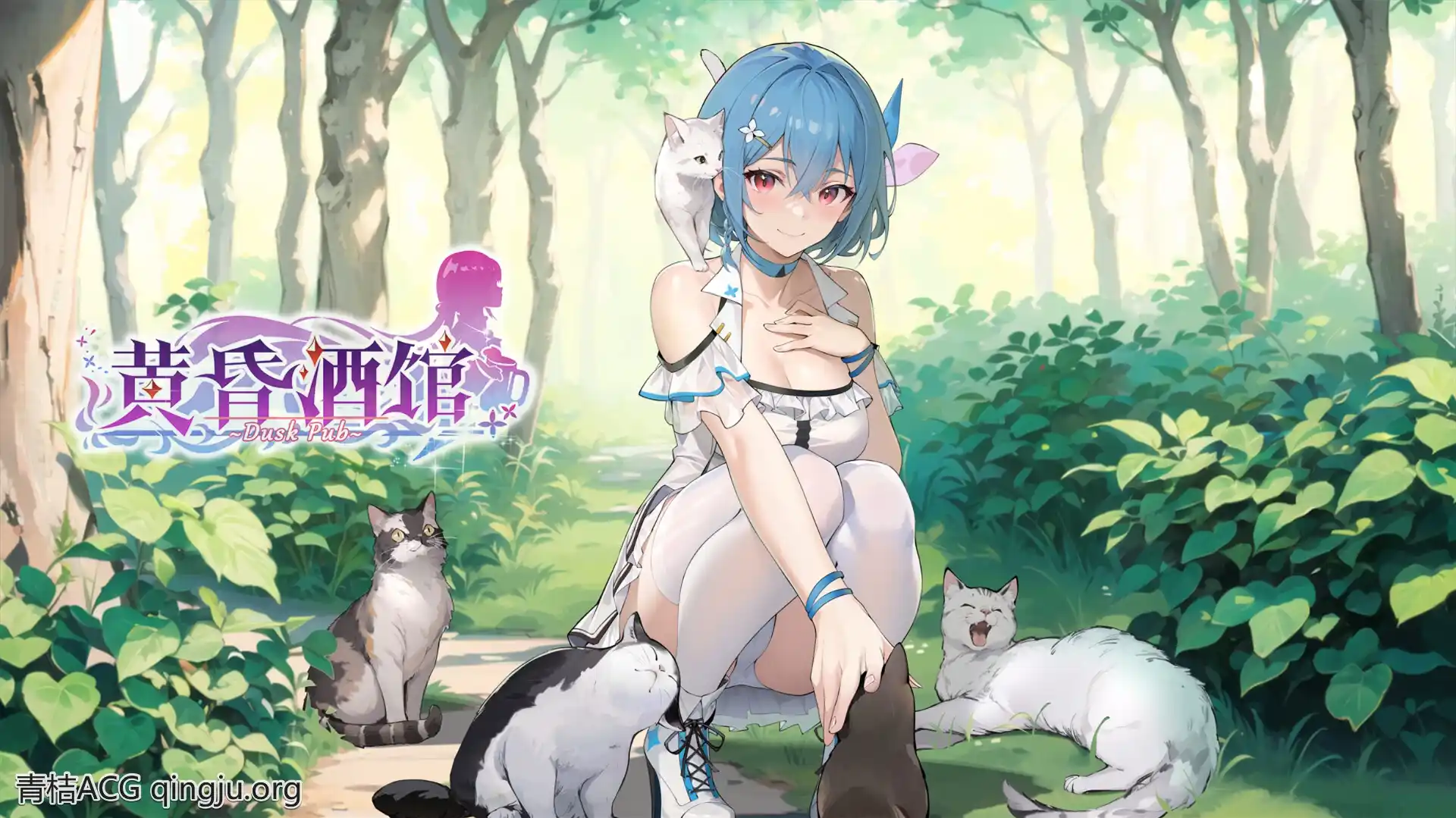 【PC硬盘】【官中】【SLG】黄昏酒馆／DuskPub V1.1.5+DLC-青桔网