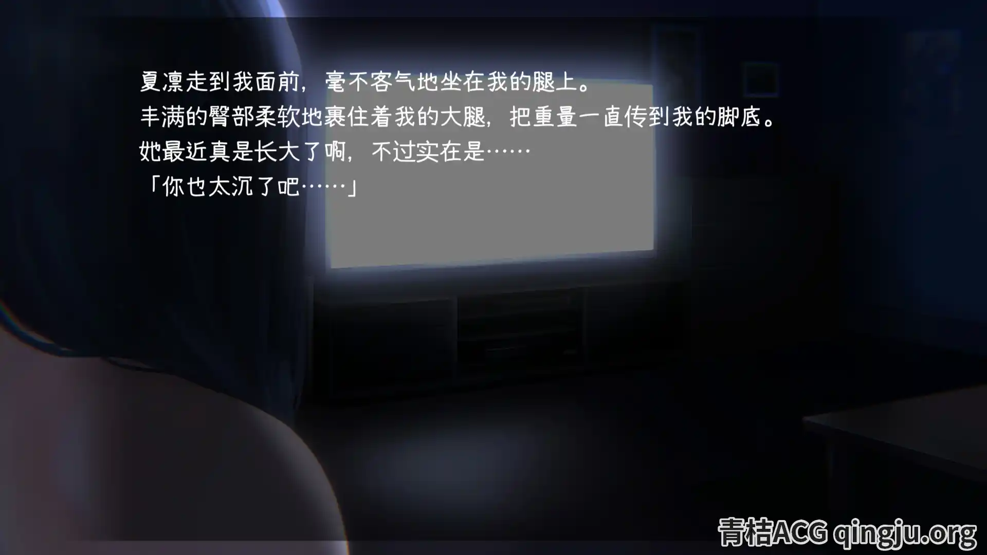 图片[2]-【PC硬盘】【官中】【SLG】妹~团圆之时／妹 ～団欒の刻～-资源避难所