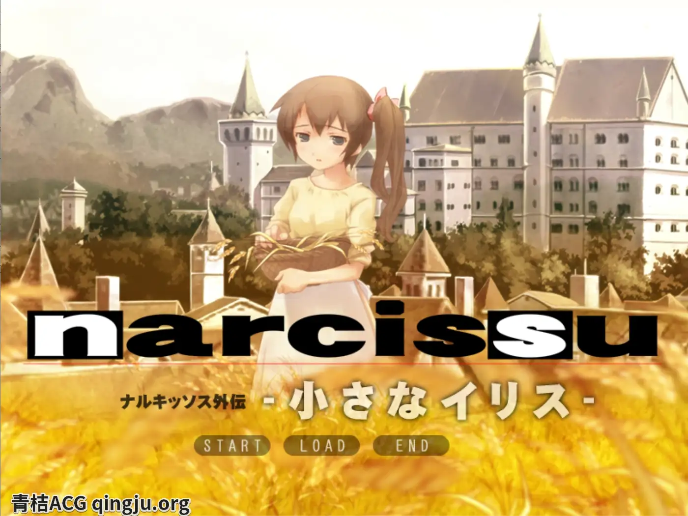 【PC硬盘】水仙十周年纪念版／Narcissu 10th Anniversary Anthology Project-青桔网